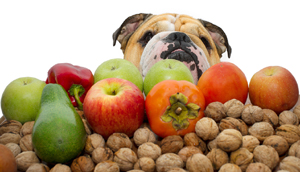 dog-surrounded-by-apples-nuts-avocados-peppers-etc.jpg